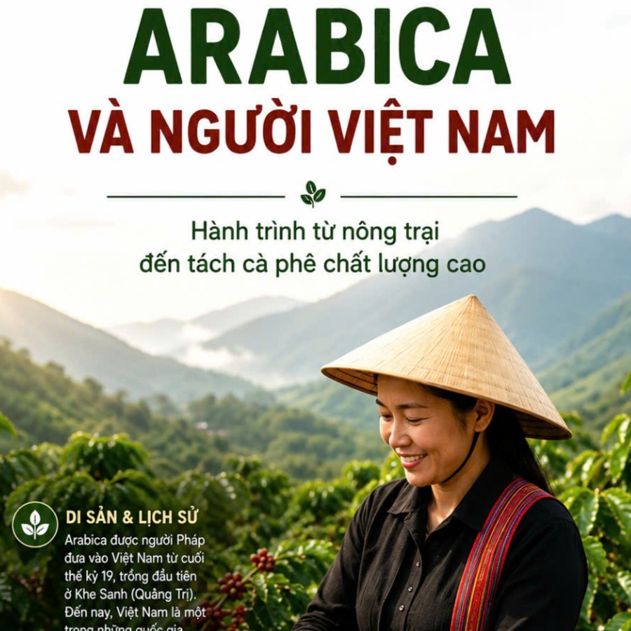 Tìm hiểu về Cà phê Arabica