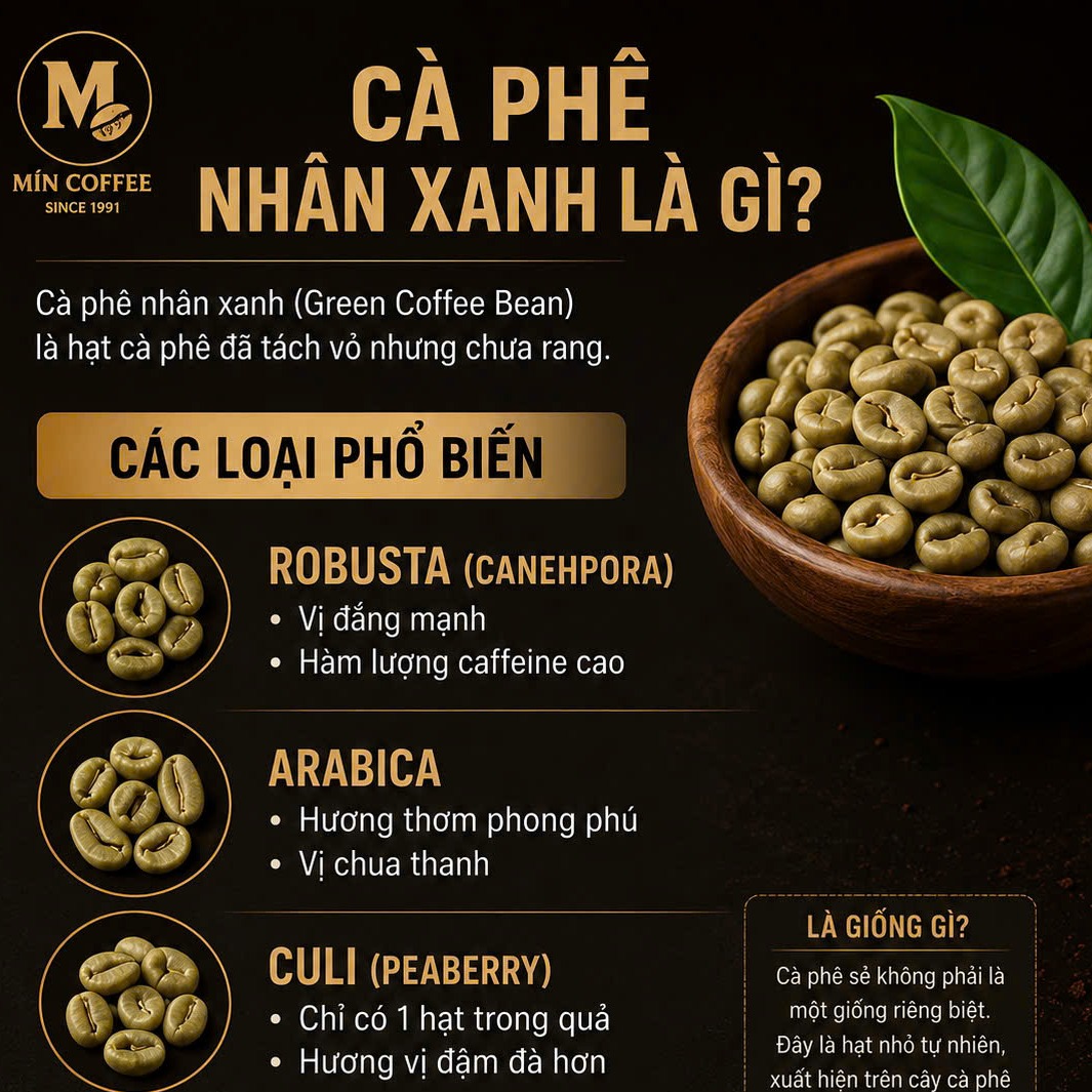 Cà phê nhân xanh là gì ? hiểu về cà chưa rang.