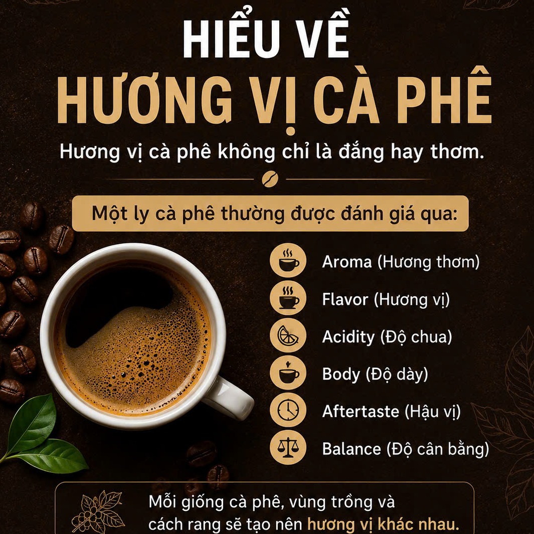 Hiểu thêm về hương vị cà phê sau rang.